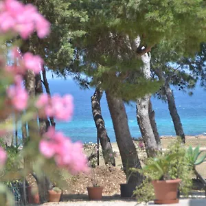 Pineta Sul Mare , Castelluzzo Italia